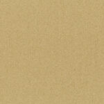 Curry 25 | Cavo