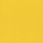 Calendula 62 | Cavo