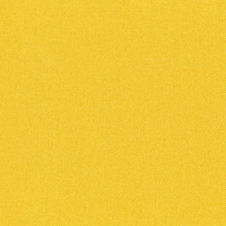 Calendula 62