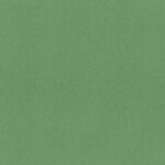 Vineyard Green 77 | Cavo