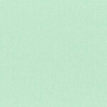 Glacier 81 | Cavo