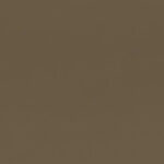 Bronze 10 | Charles