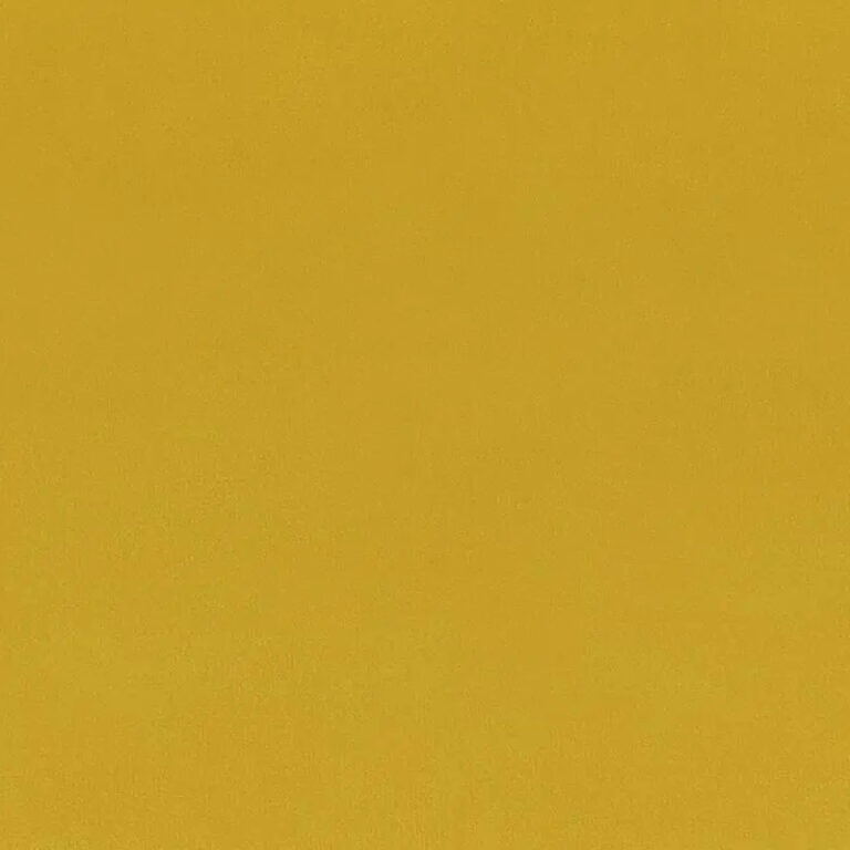 Acacia 41