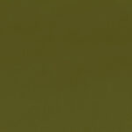 Olive 42 | Charles