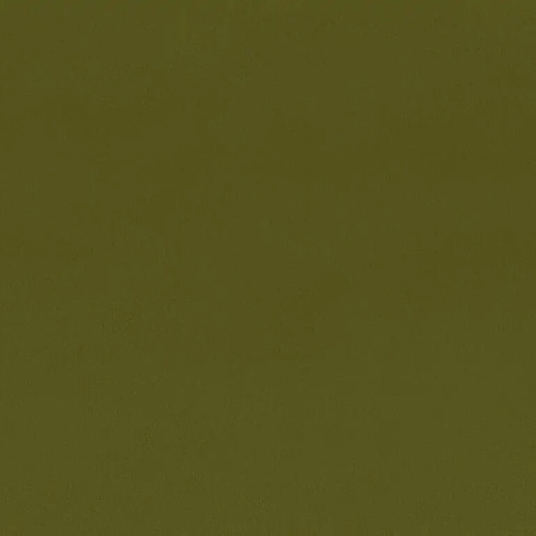 Olive 42