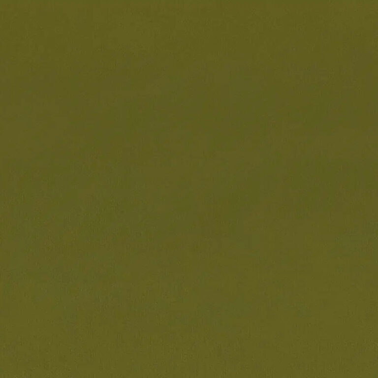 Leaf 43