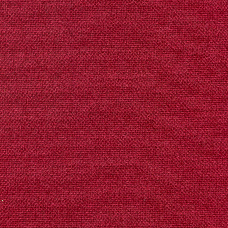 Raspberry 314