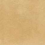 Almond 06 | Comfee