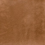 Saddle 10 | Comfee