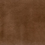 Chestnut 11 | Comfee