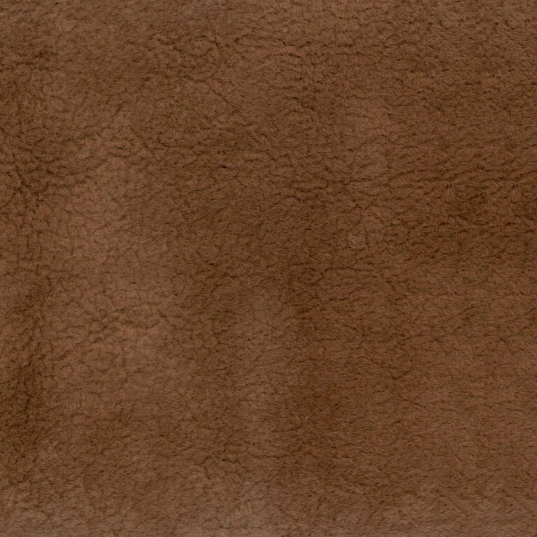 Chestnut 11
