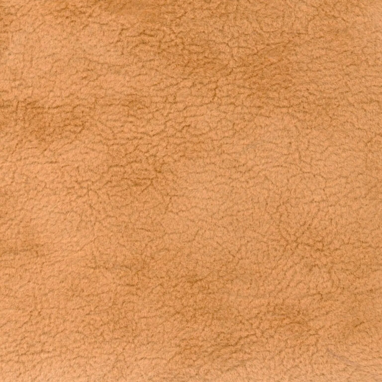 Apricot 12