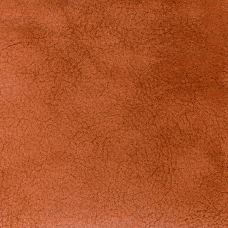 Terra 13