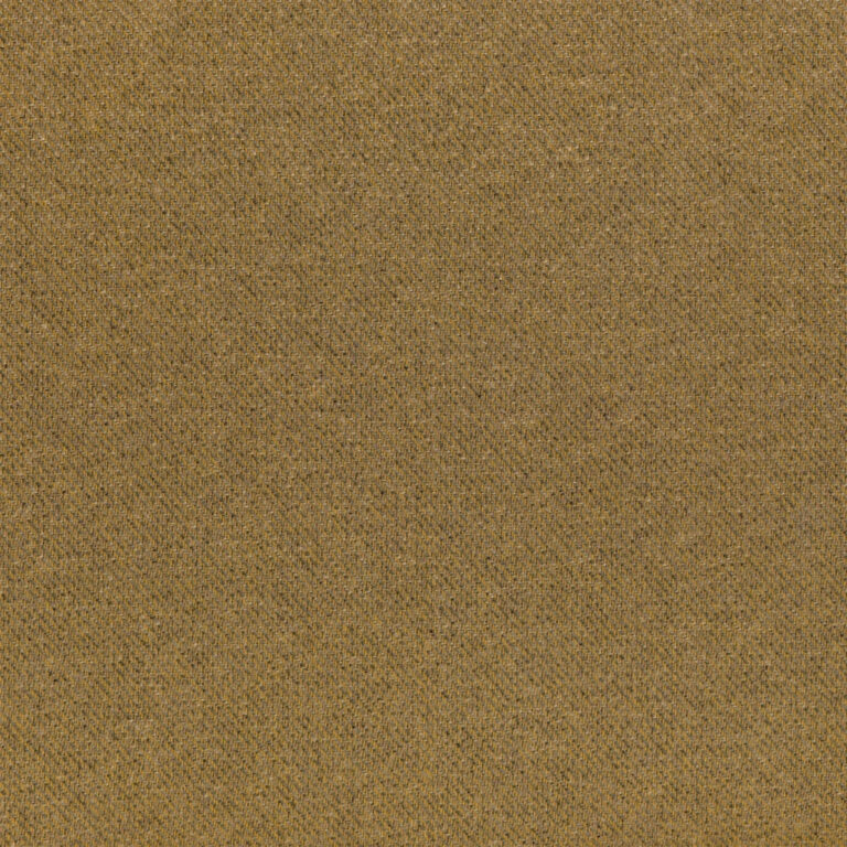 Camel 86