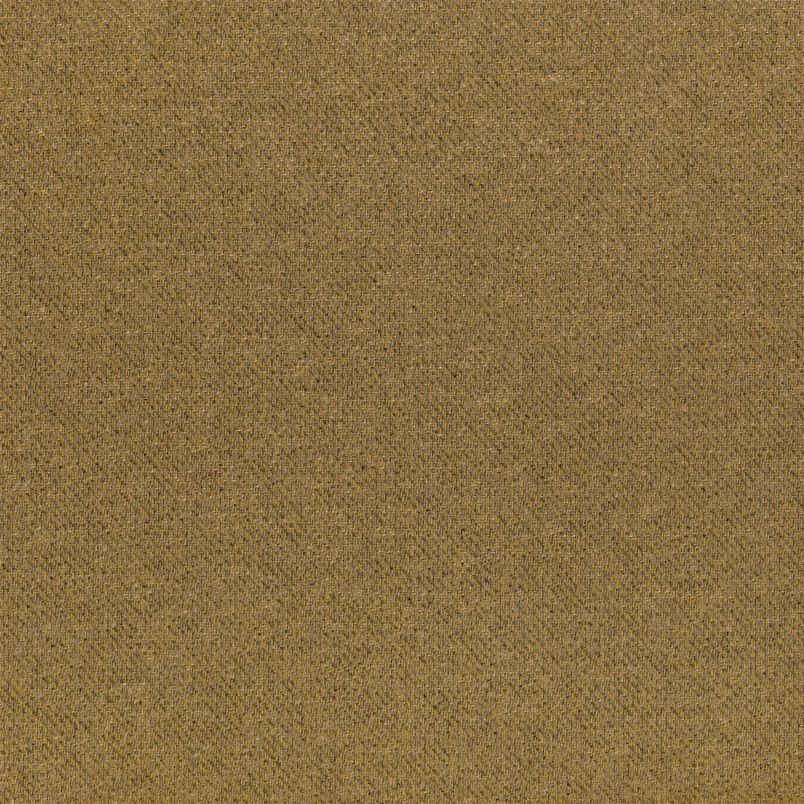 Camel 86 | Croton