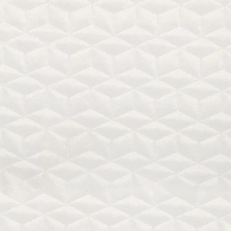 Snow 06