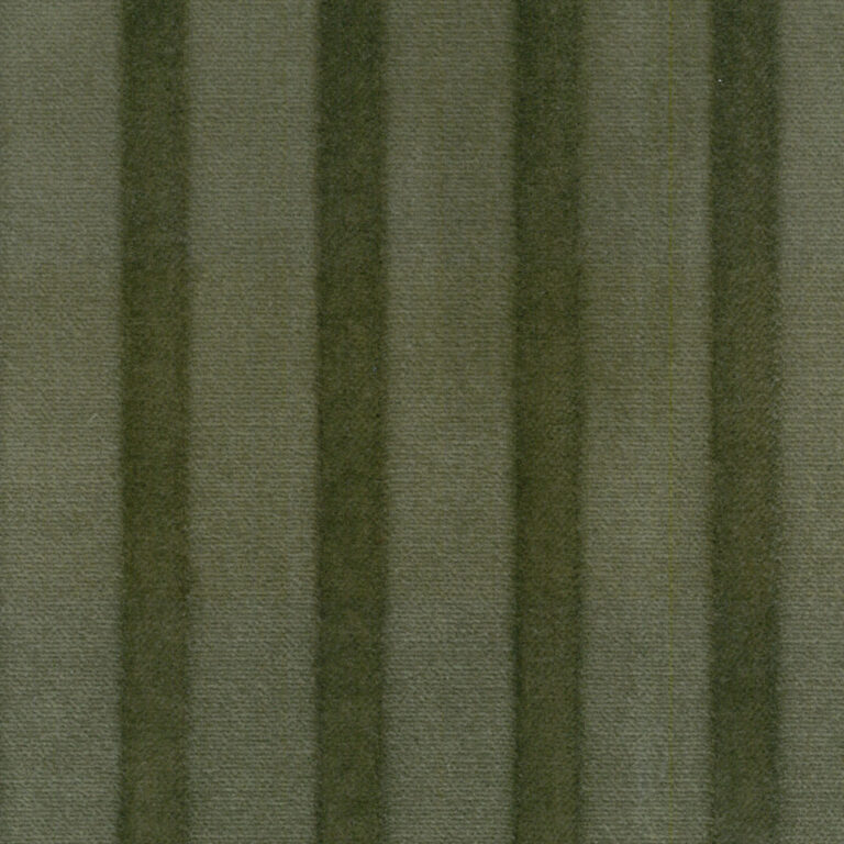 Oliwka 5