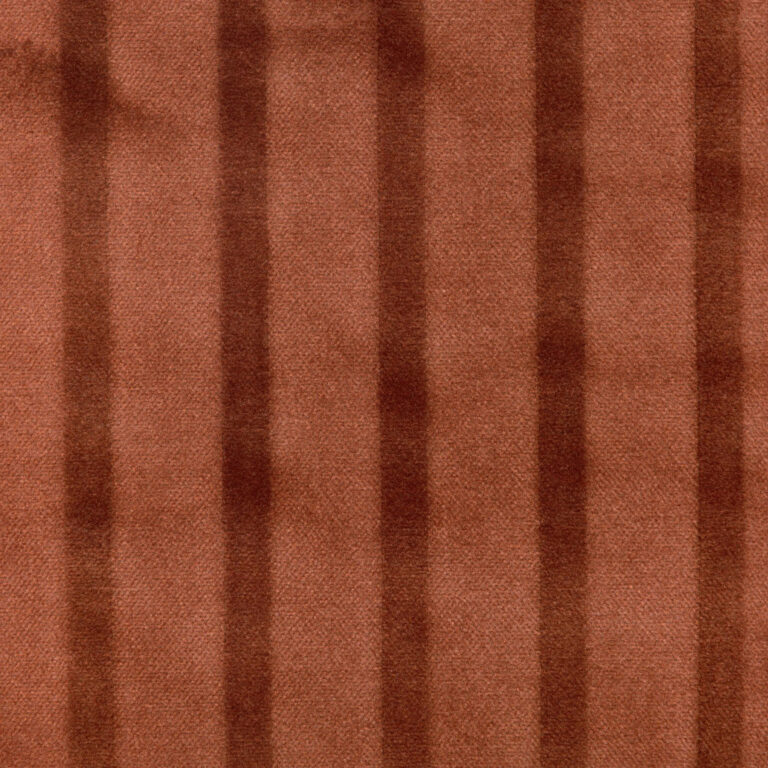 Róż 6