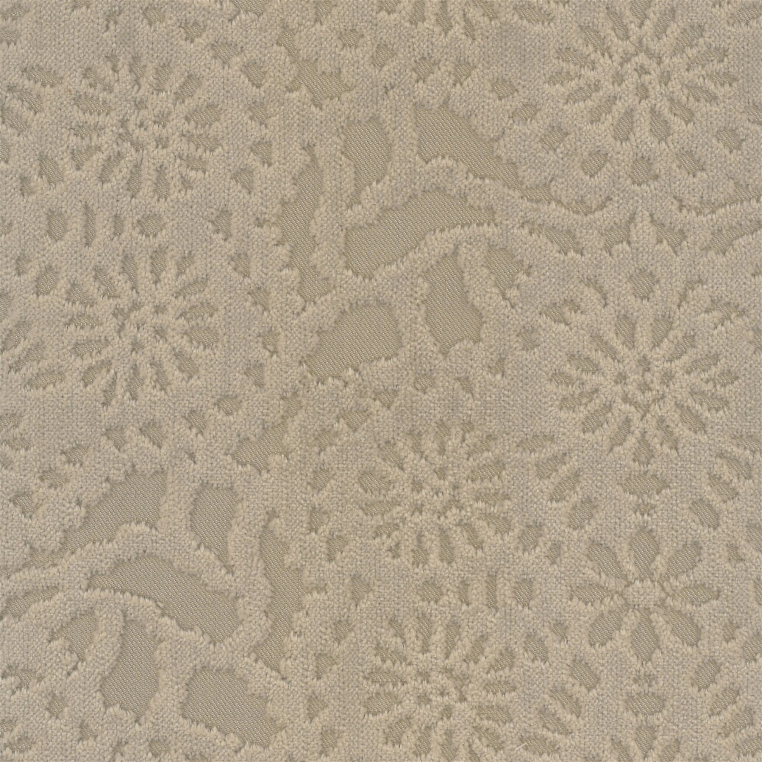 Beige 16 | Cygnus