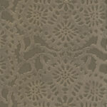 Taupe 17 | Cygnus