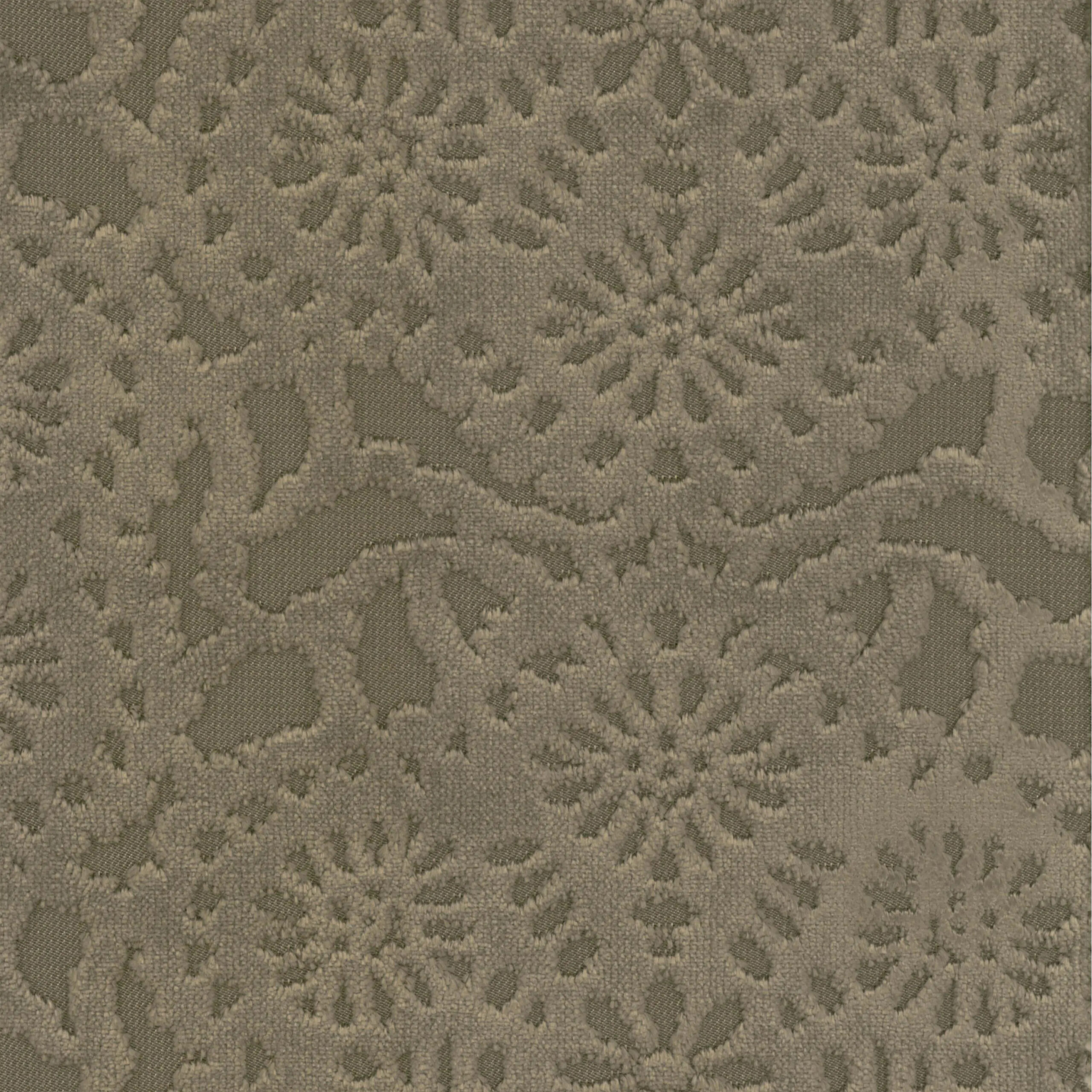 Taupe 17 | Cygnus