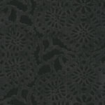 Pewter 19 | Cygnus