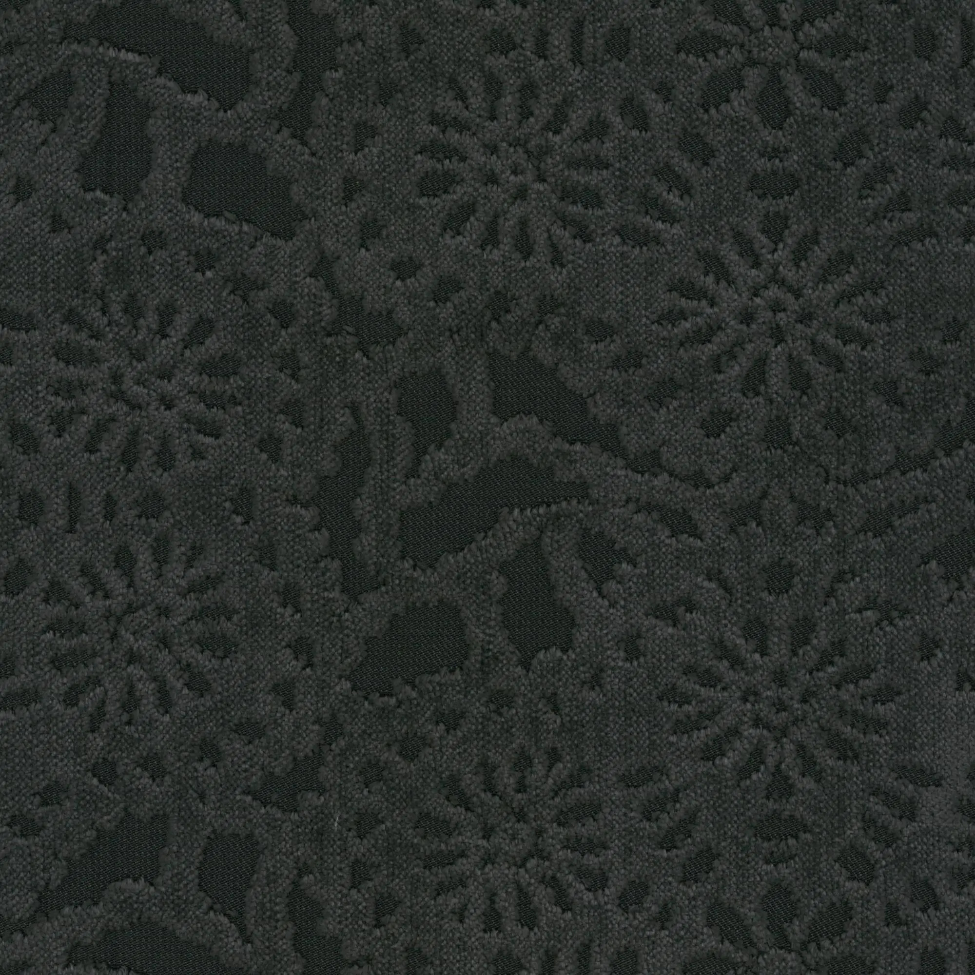 Pewter 19 | Cygnus