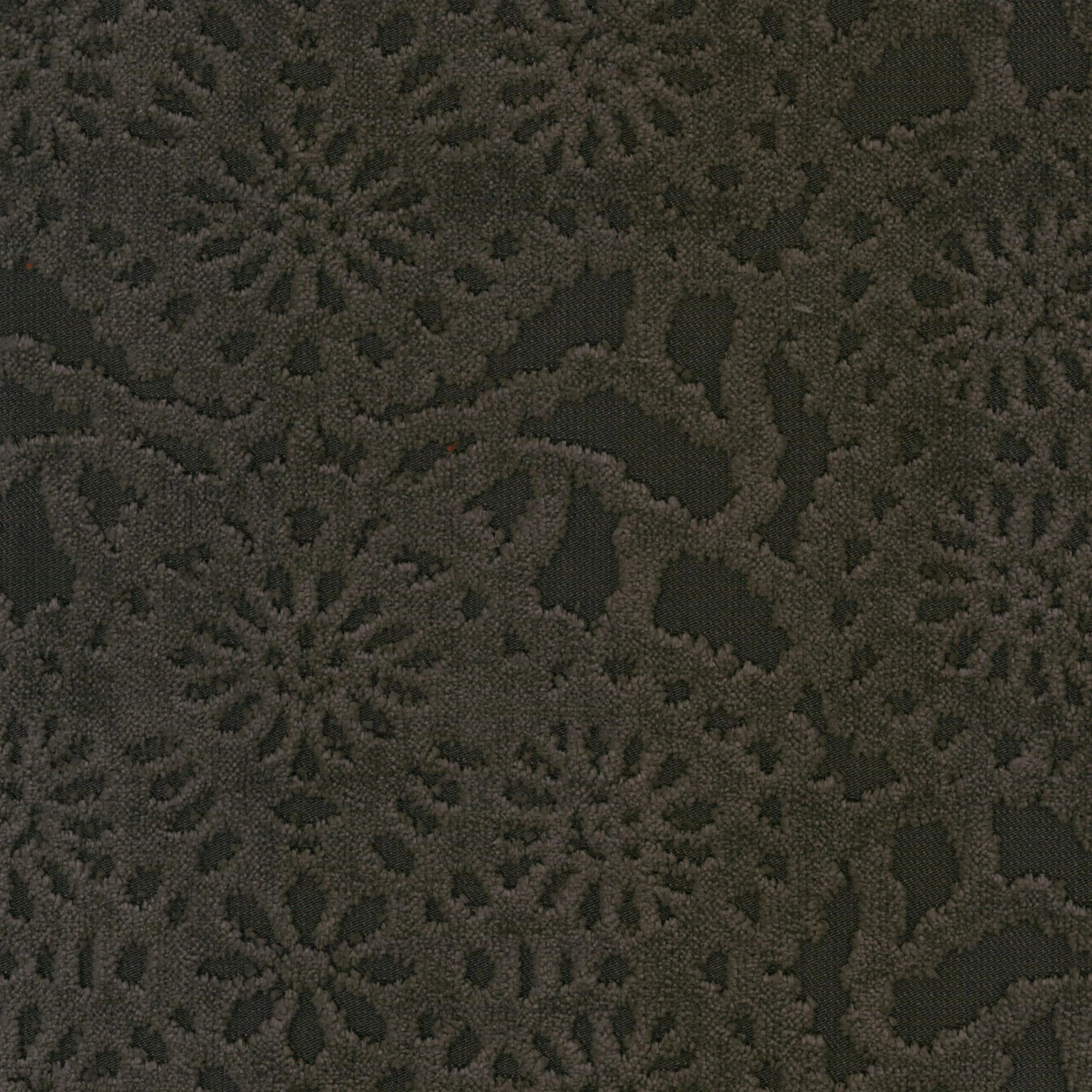 Brownie 20 | Cygnus