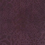 Plum 21 | Cygnus