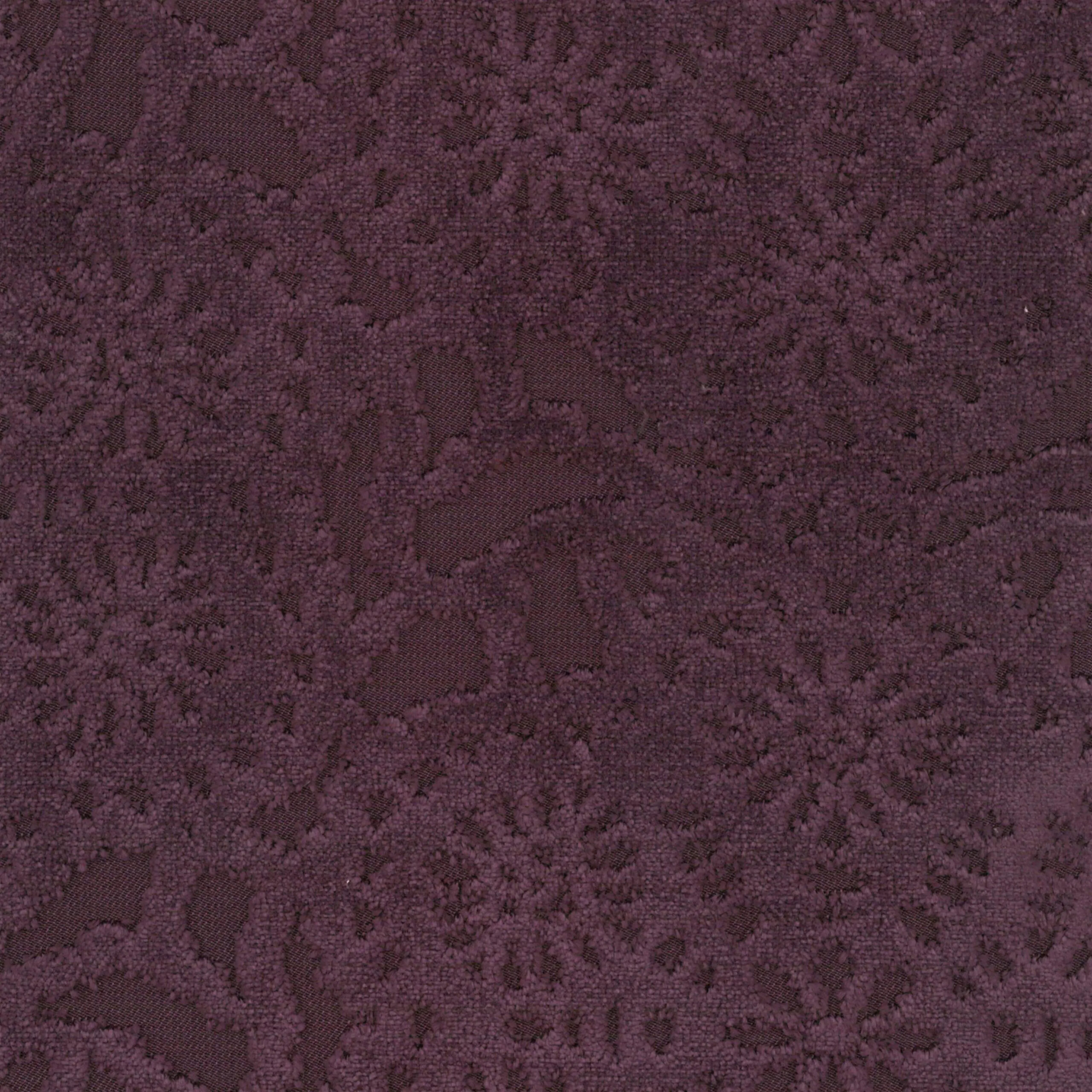 Plum 21 | Cygnus