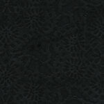 Onyx 22 | Cygnus