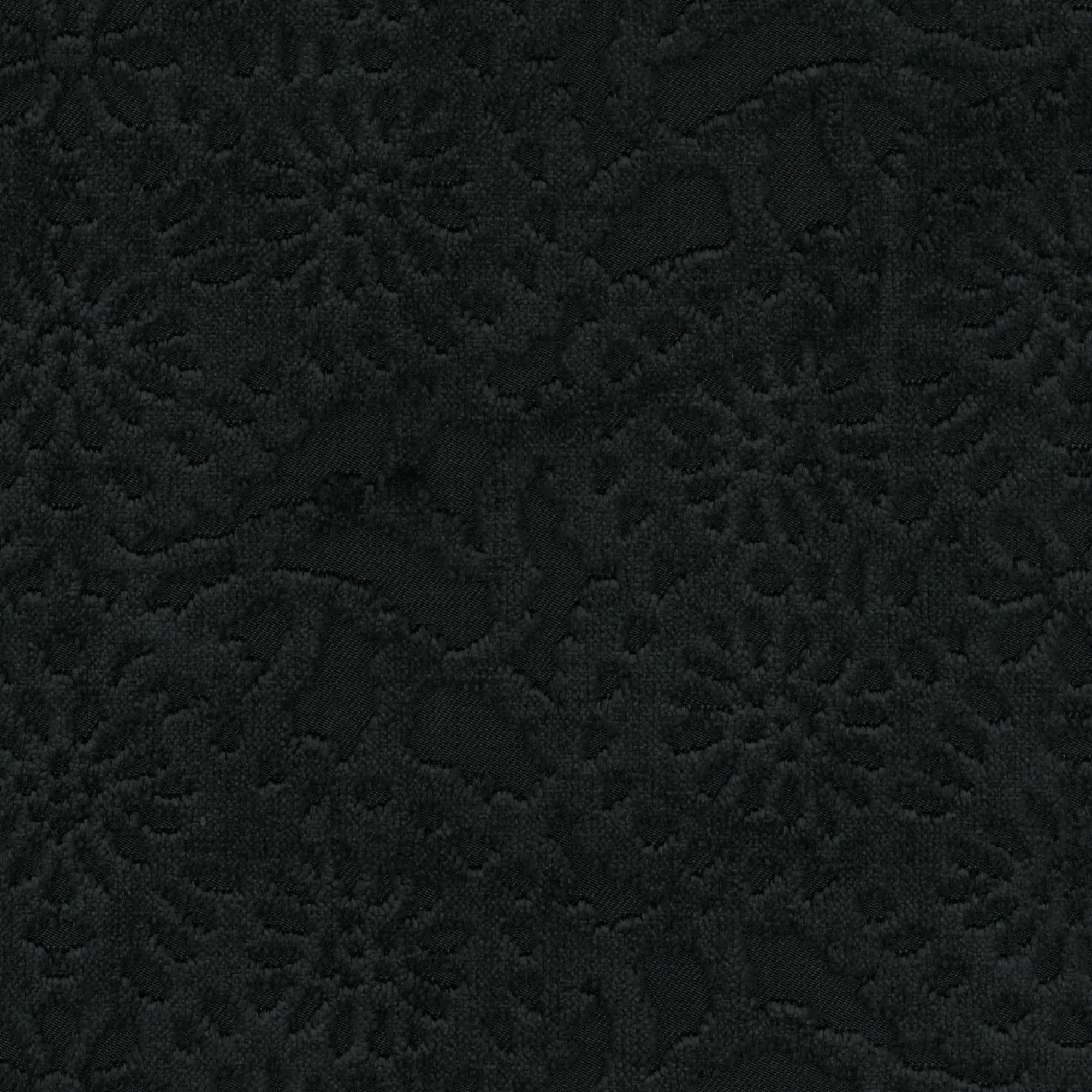 Onyx 22 | Cygnus