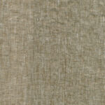 Sesame 12 | Dafina