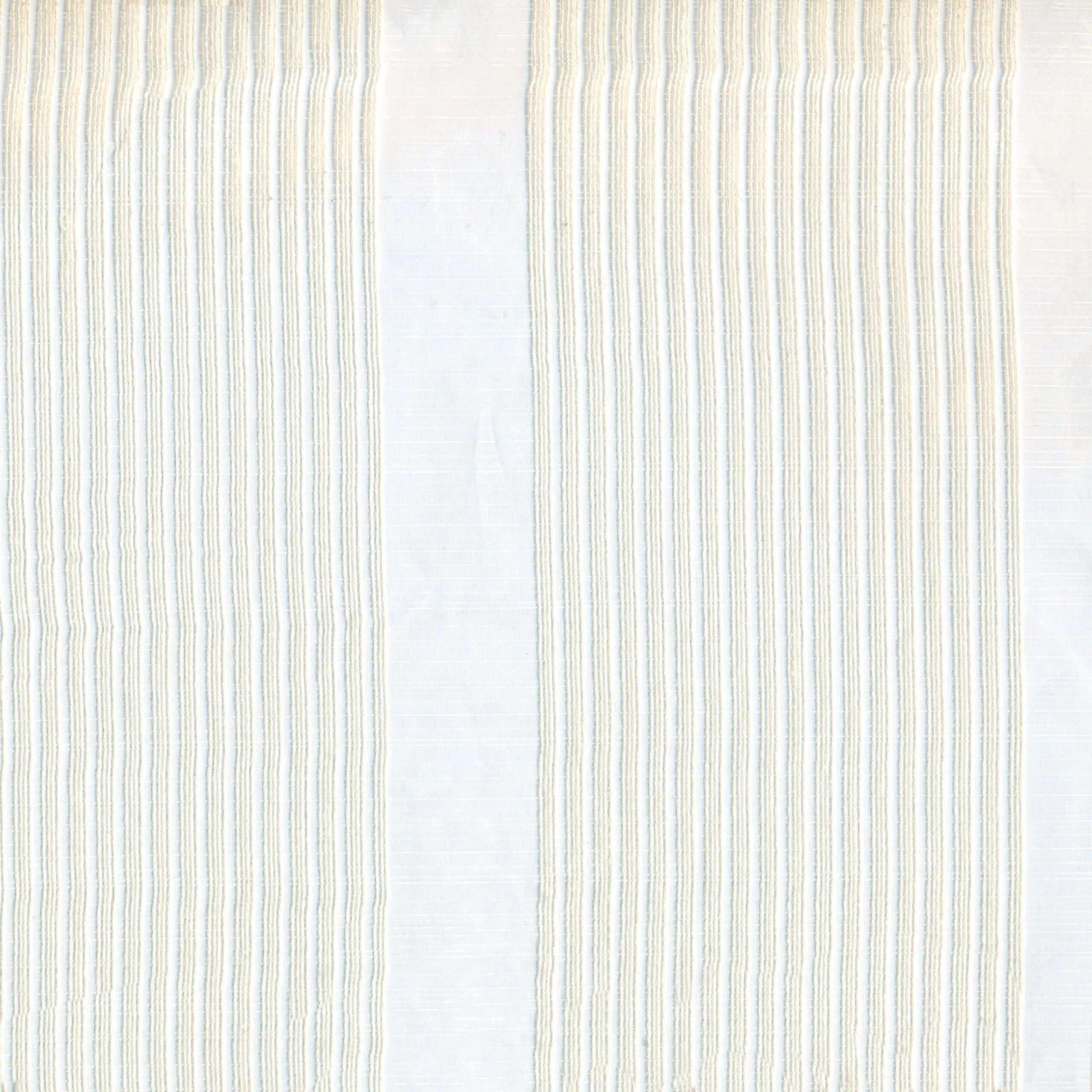 Ivory 1 | Dalia