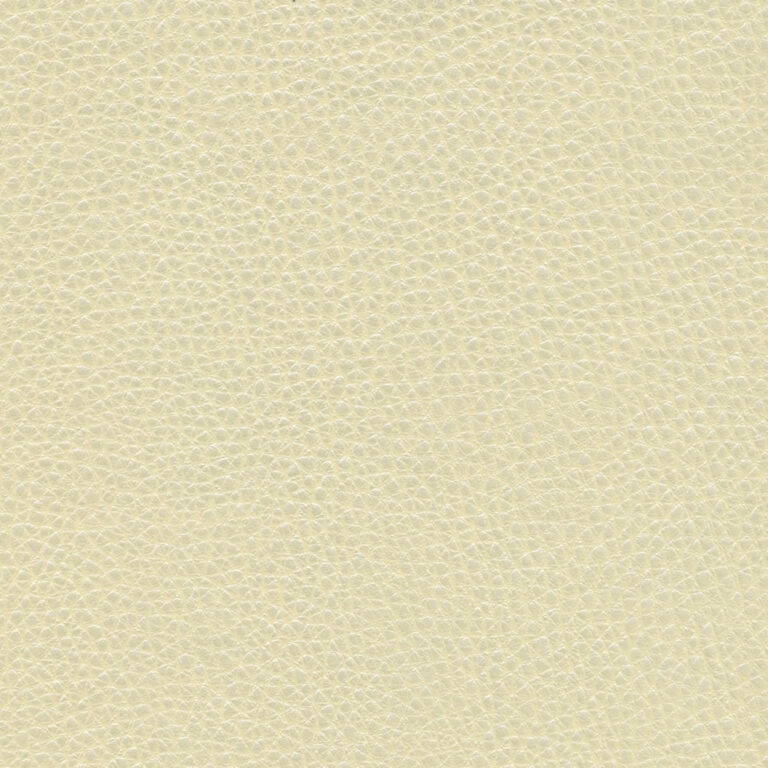 Champagne 10