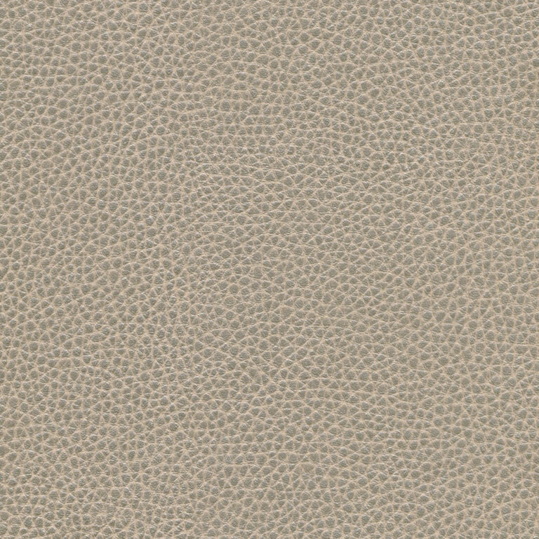 Macaroon 11