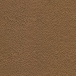 Copper 21 | Dario