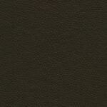 Truffle 24 | Dario