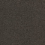 Maroon 30 | Dario
