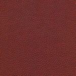 Raspberry 37 | Dario