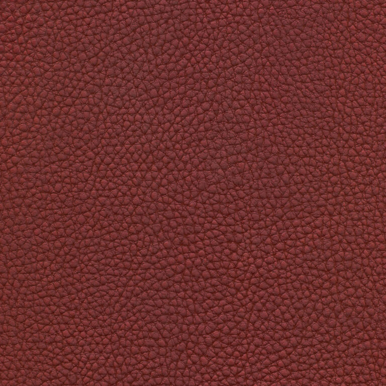 Raspberry 37