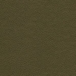 Bronze 40 | Dario