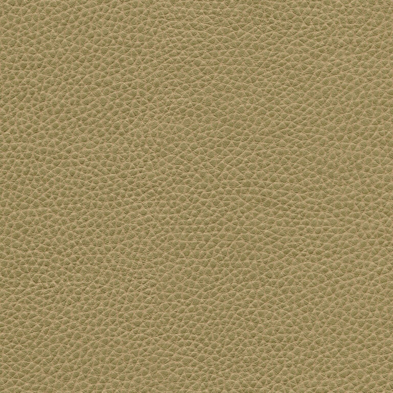 Gold 41