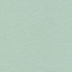 Mermaid 47 | Dario