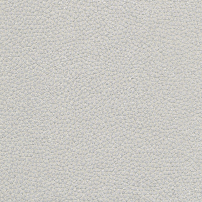 Silver 56