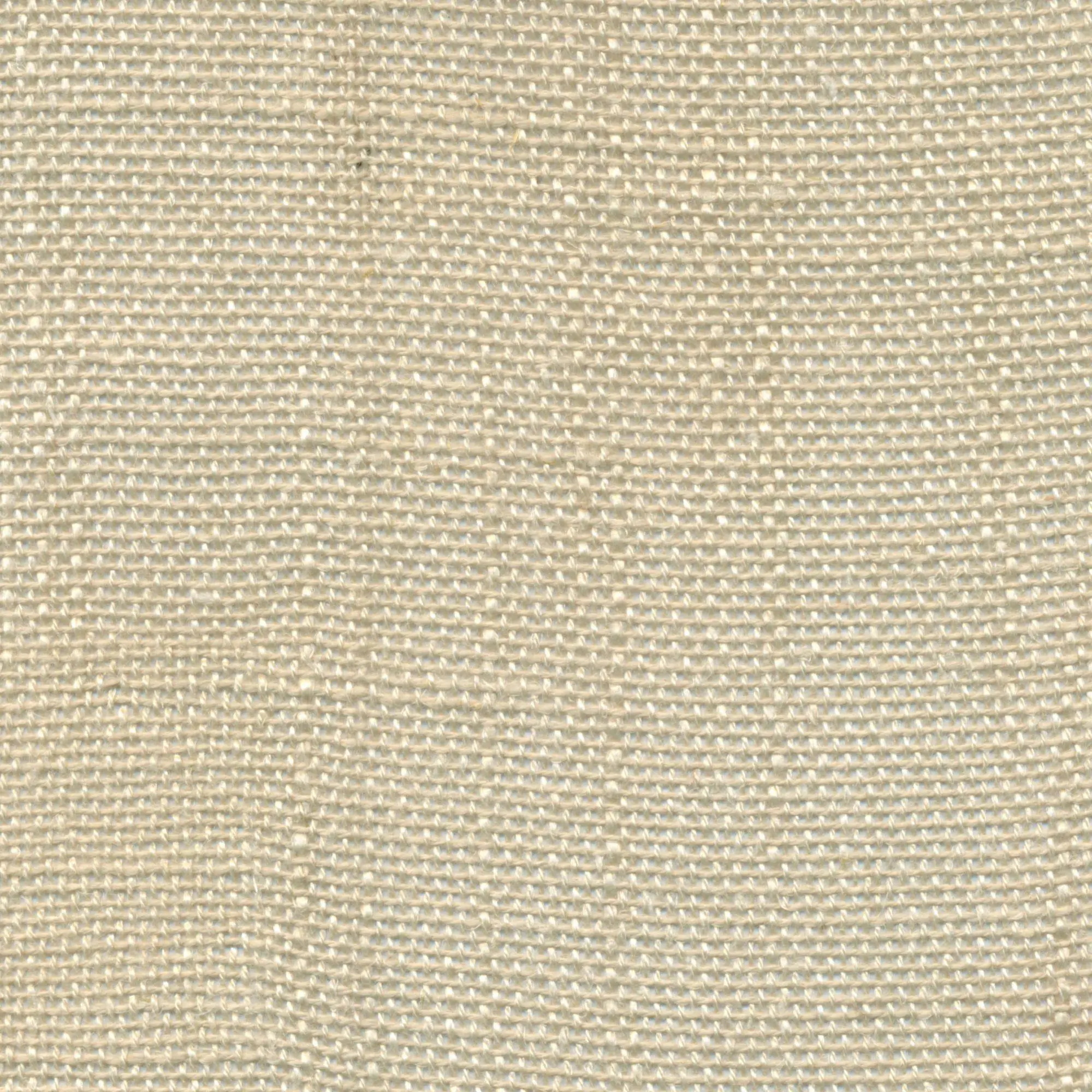 Fog 029 | Delicate