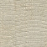 Oyster Gray 033 | Delicate