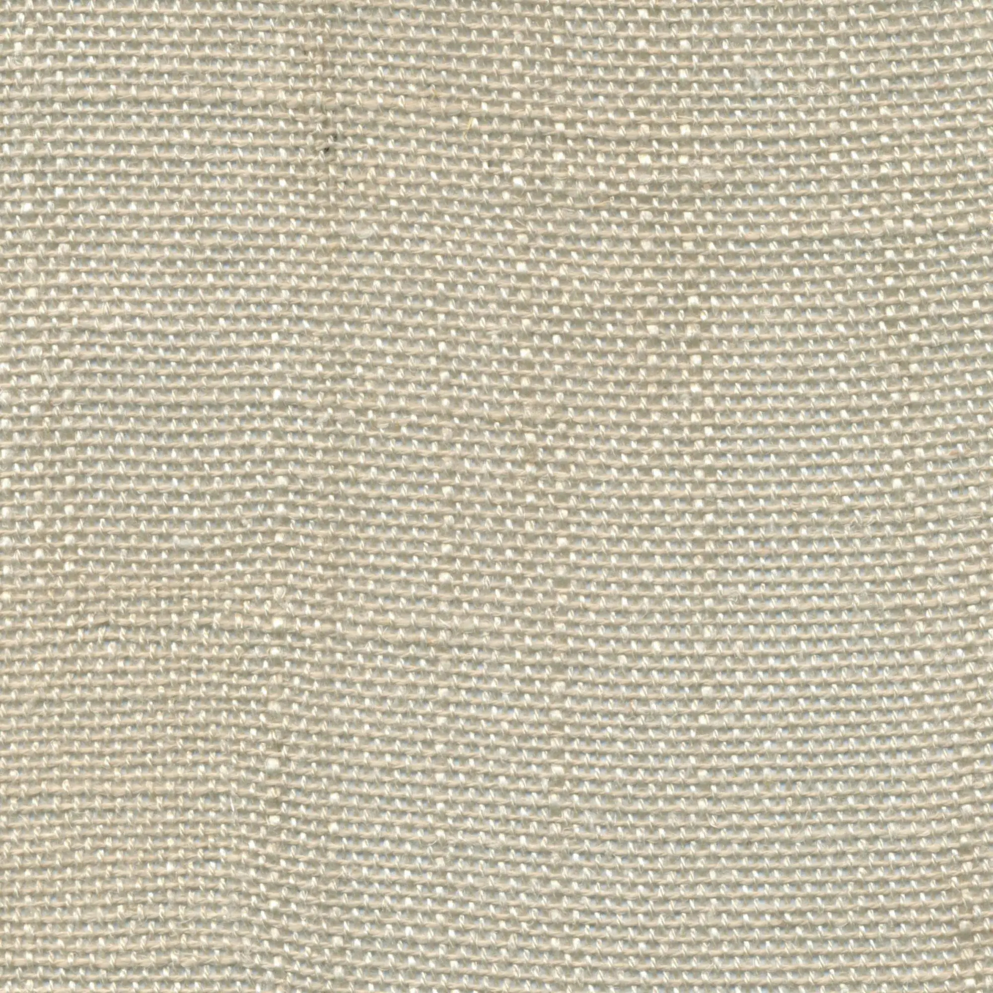 Oyster Gray 033 | Delicate