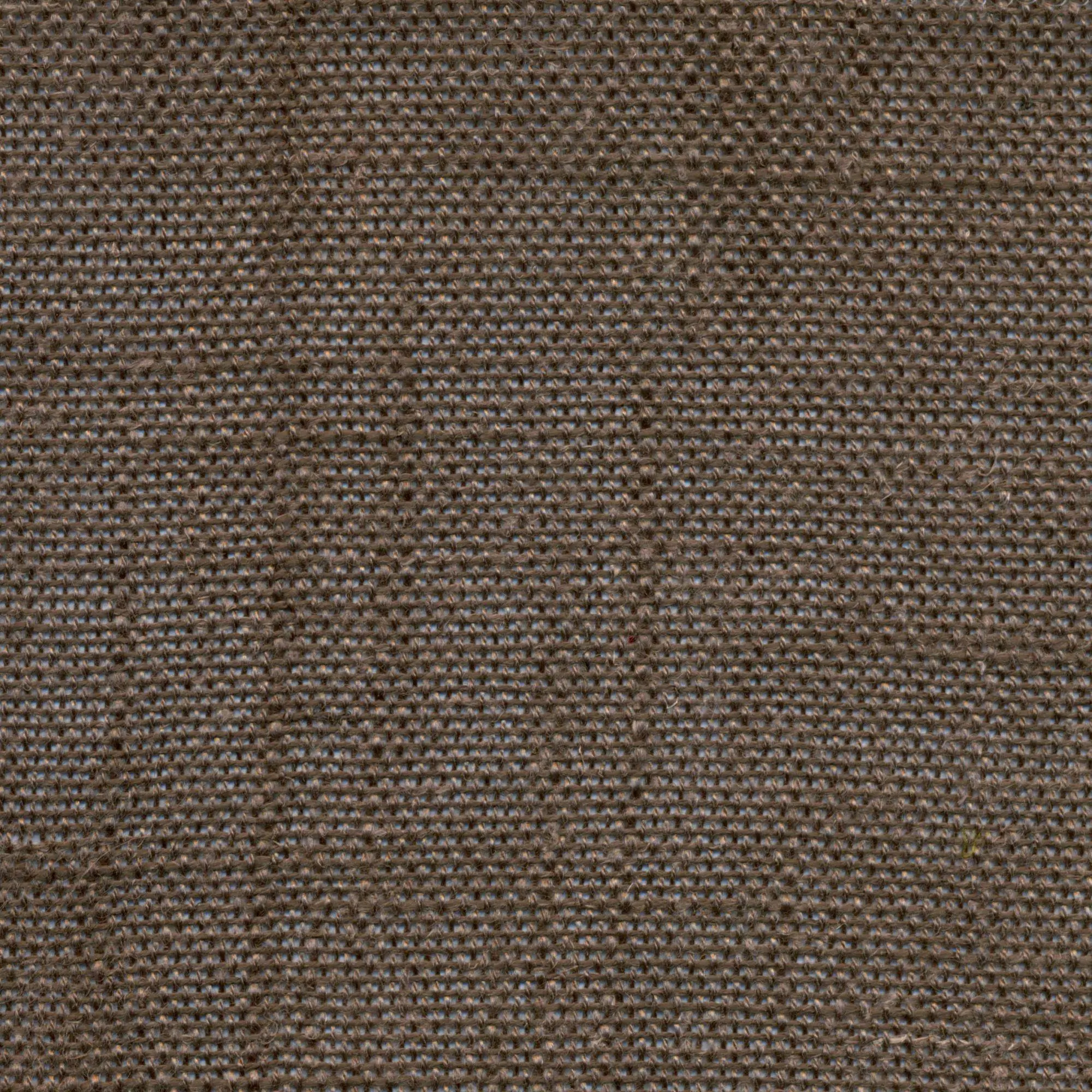Semolina 109 | Delicate