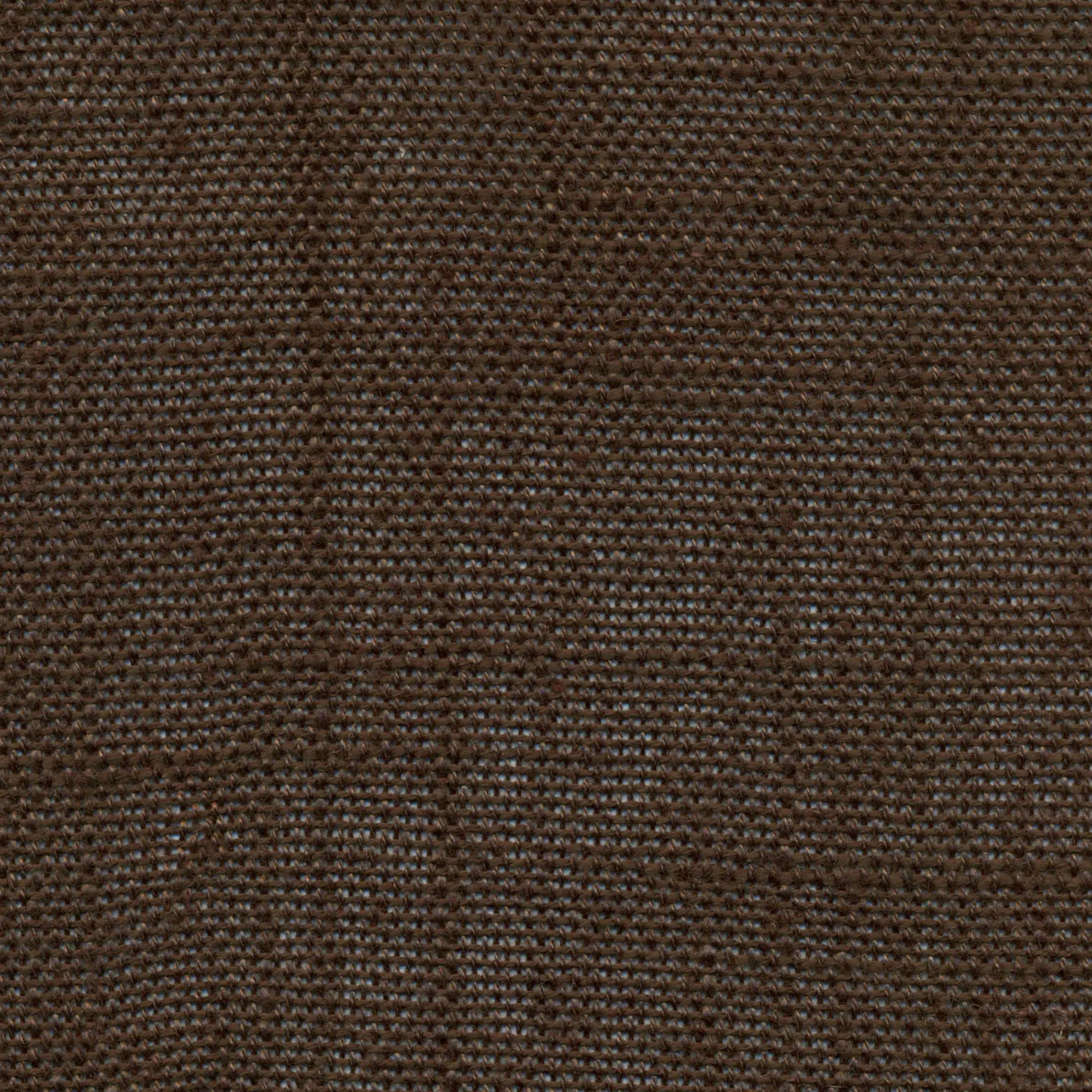 Seal Brown 110 | Delicate